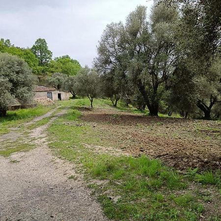 SantʼOnofrio B&B Le Casette المظهر الخارجي الصورة