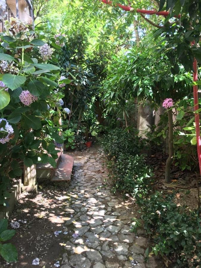SantʼOnofrio B&B Le Casette المظهر الخارجي الصورة