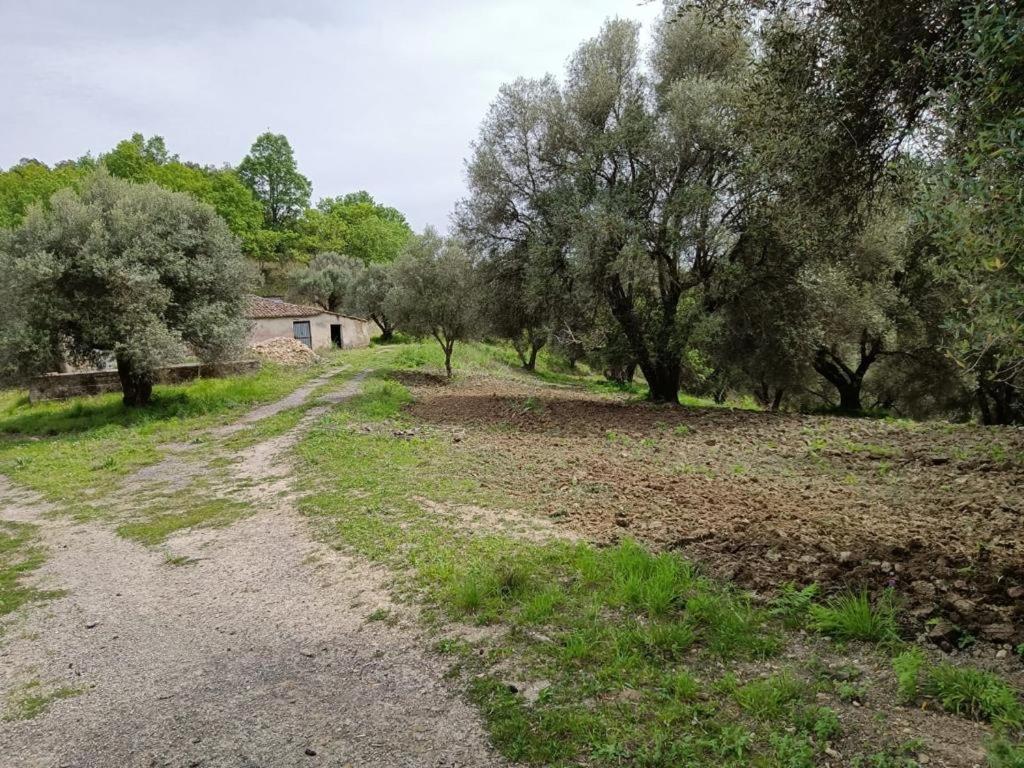 SantʼOnofrio B&B Le Casette المظهر الخارجي الصورة
